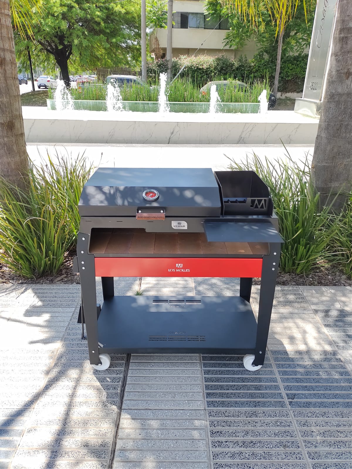 Parrilla Caldén Mediana - Image 9